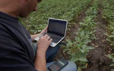 A silvicultura e a agricultura são as empresas agrícolas mais exigentes no setor das TIC.