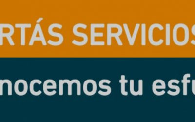 Applications are now open for the Recognition of Export Efforts in services.