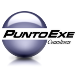 PuntoExe Consultores