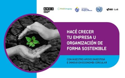 Convocatoria ANII – Fondo de Investigación e Innovación en Economía Circular